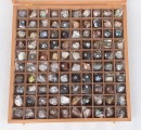 rocks and minerals supplier