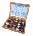 rocks and minerals supplier